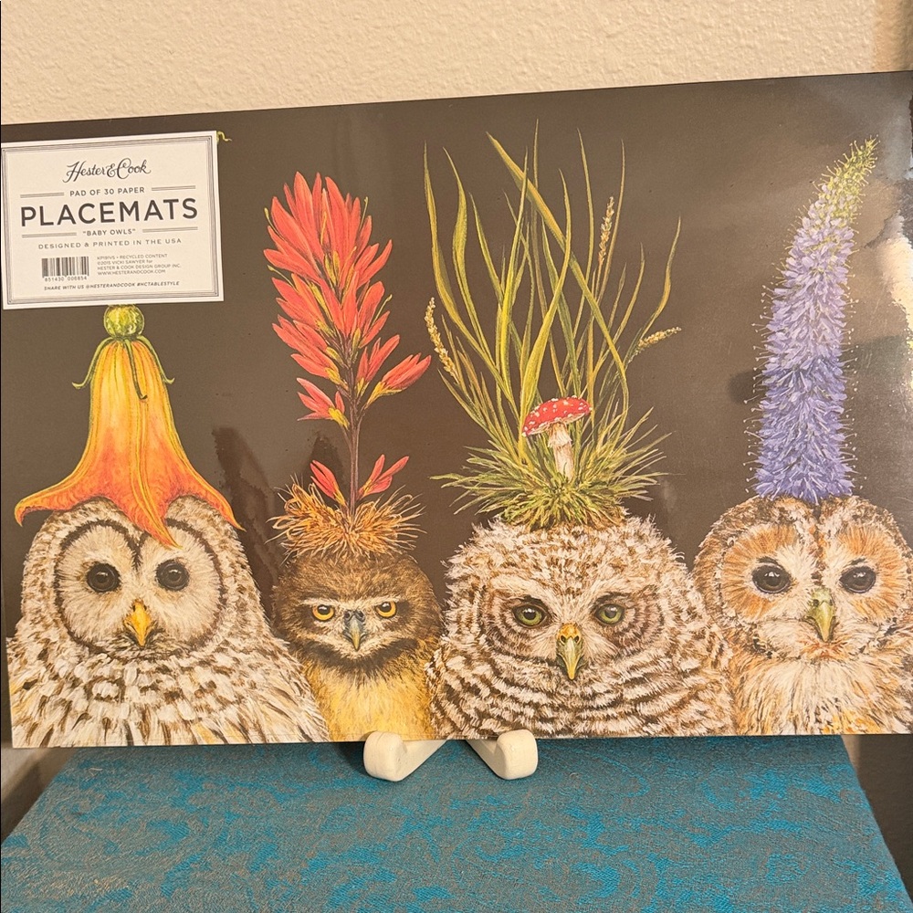 HESTER AND COOK Pad of 30 Paper Placemats "BABY OWLS" Whimsical New Sealed Pkg